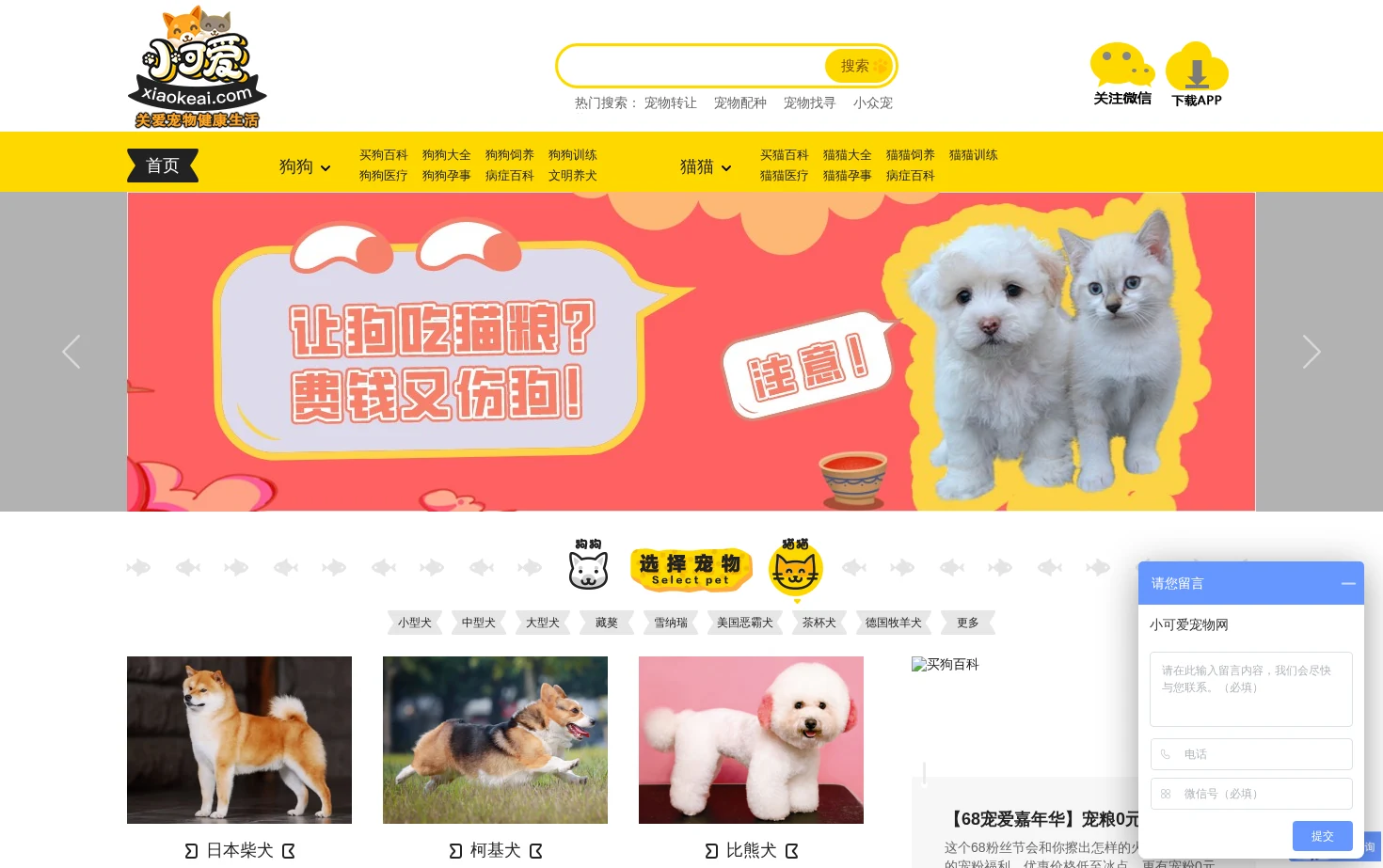 小可爱宠物网 页面快照